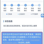 卫生资格考试网上缴费入口,轻松完成缴费流程指南