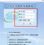 个人社保信息如何查询,轻松掌握您的社保概况